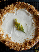 St. Patrick's Day Irish Cream Cheesecake with Walnut Streusel