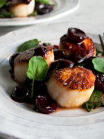 Scallops
