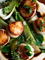 Seared Scallops