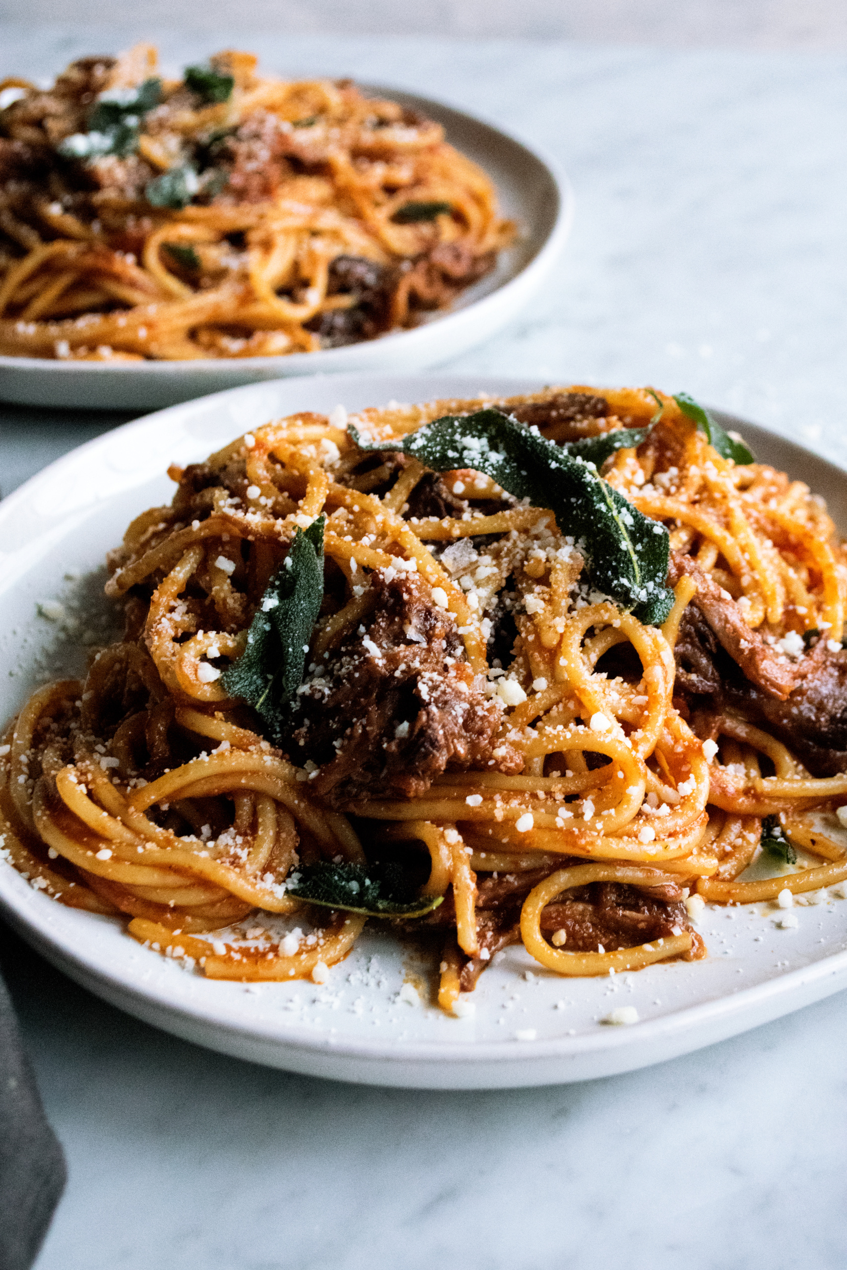 Braised Short Rib Spaghetti