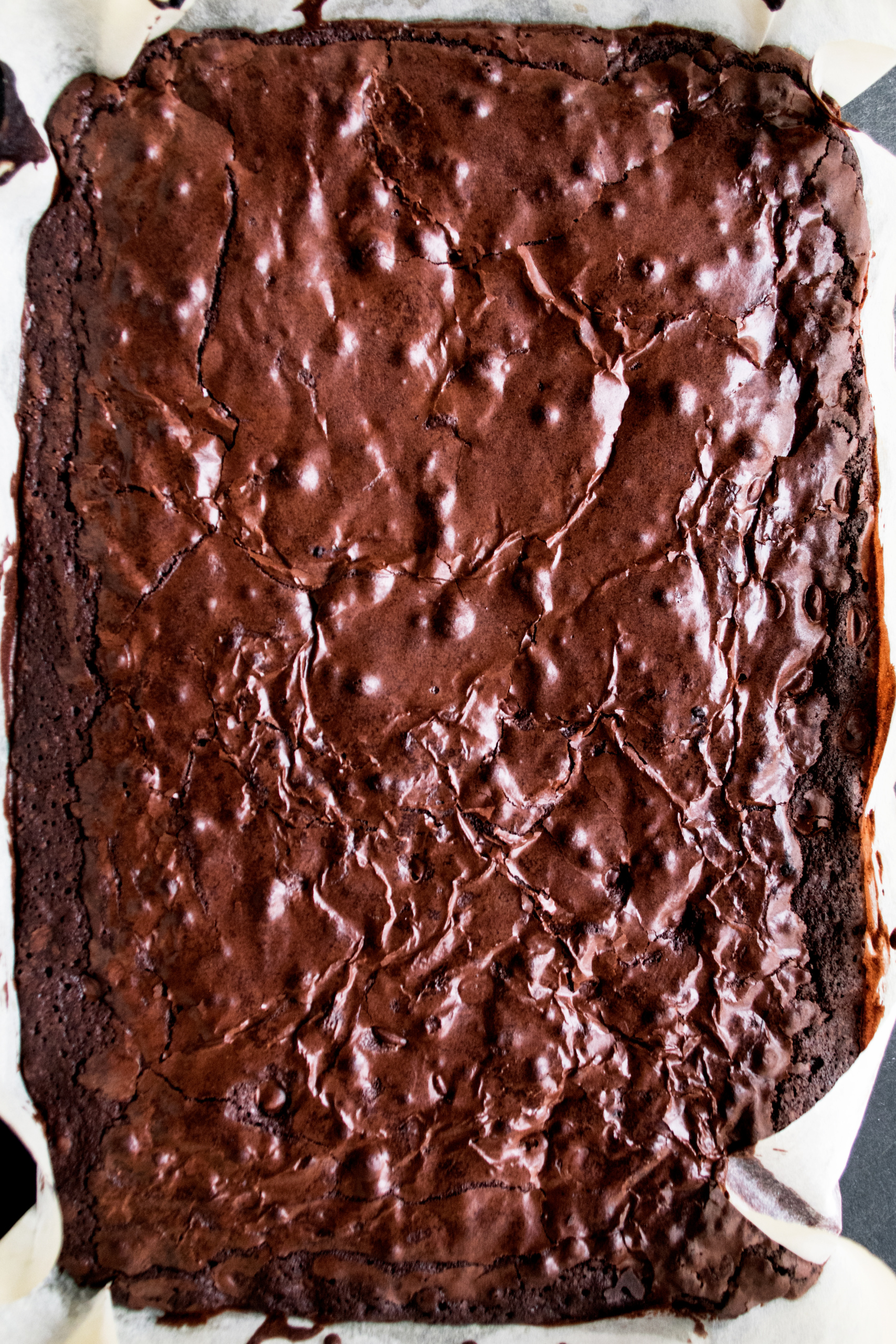 Double Chocolate Fudge Brownies