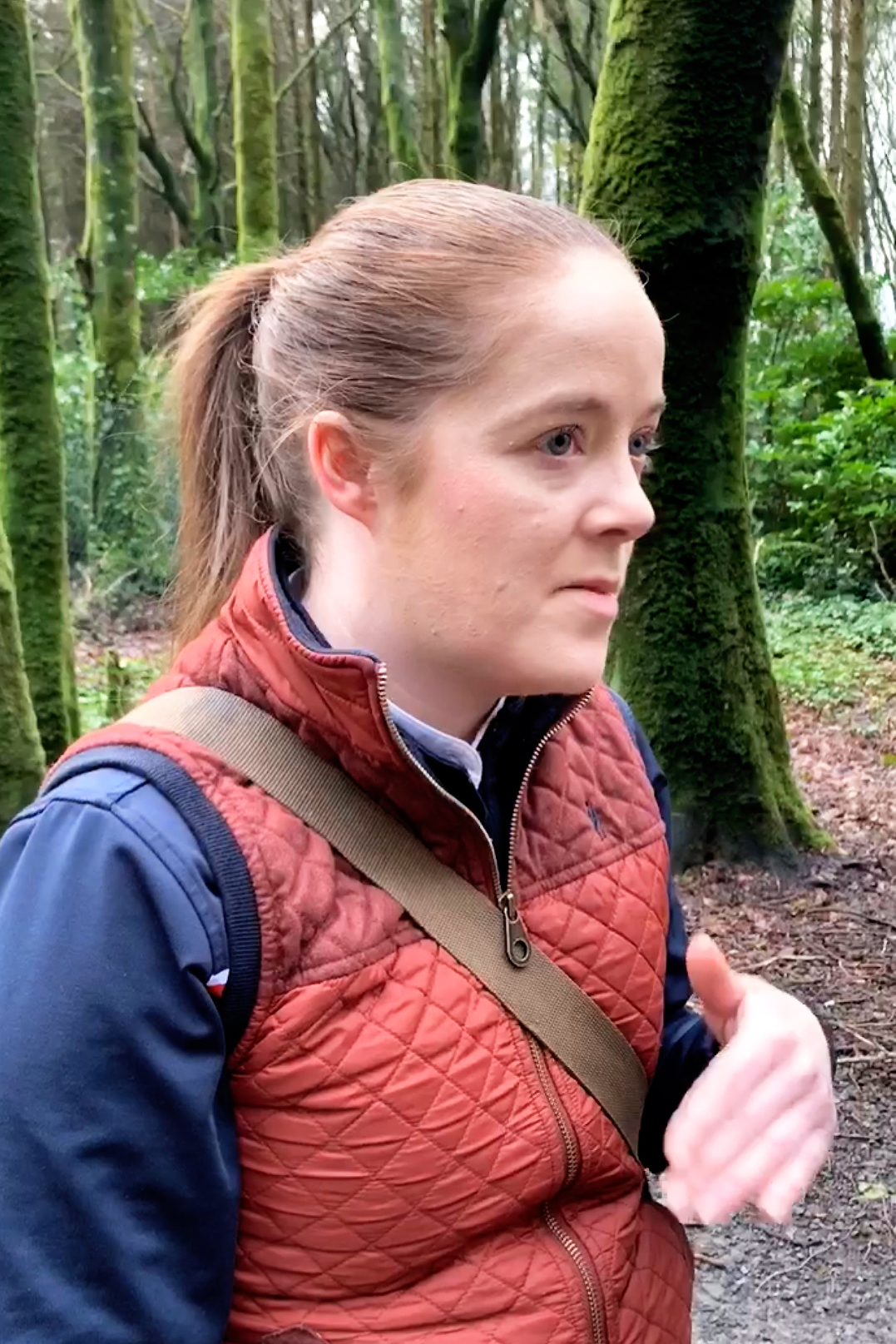 Ashford Castle Foraging