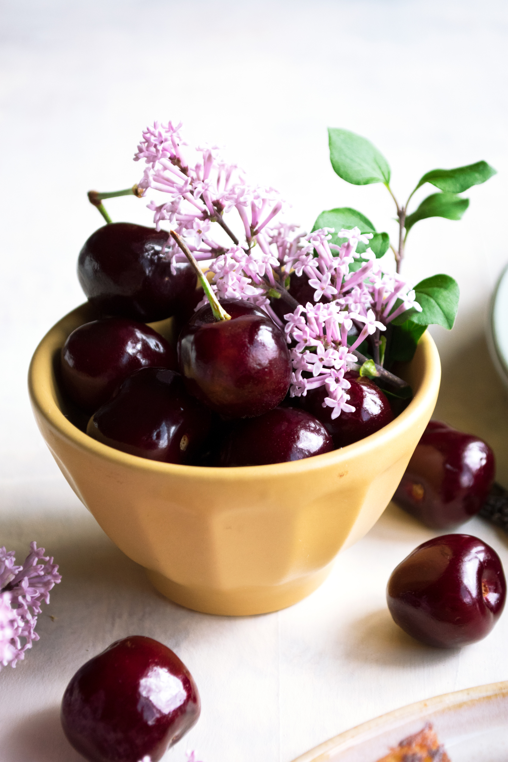 fresh cherries & lilacs