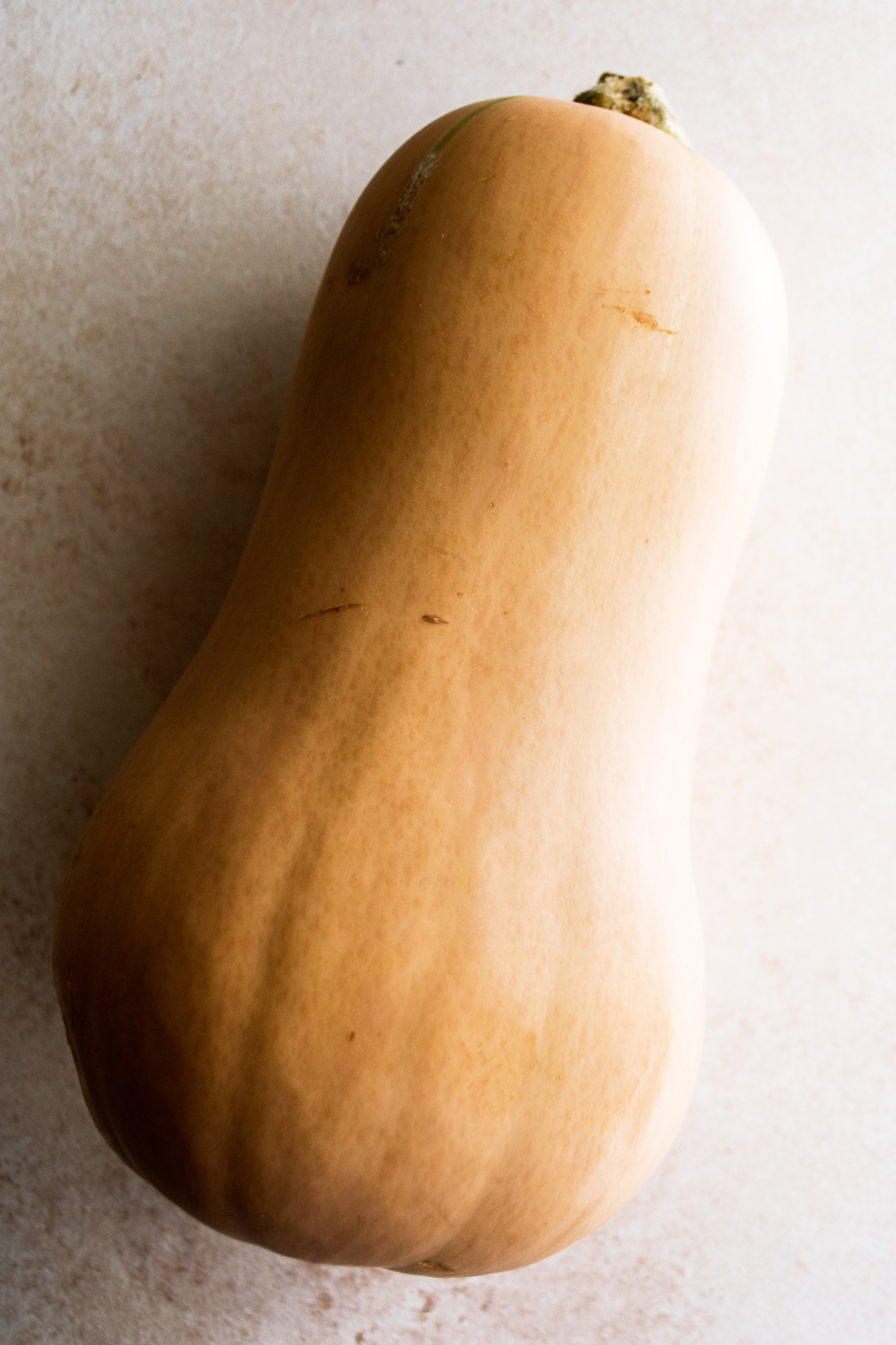 butternut squash