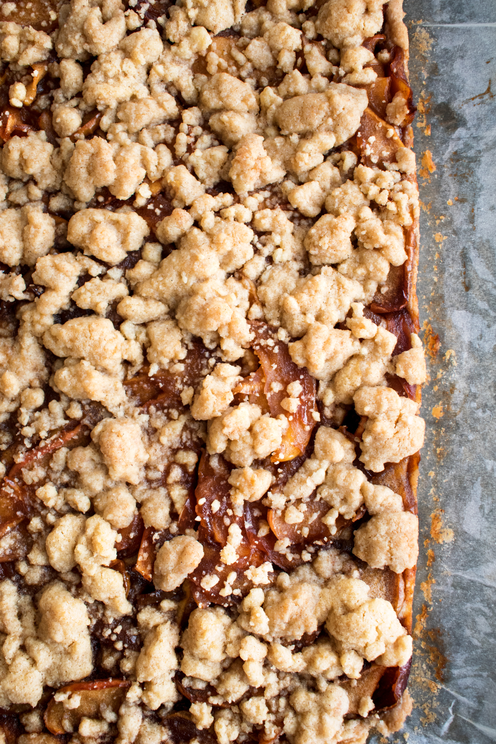 Caramelized Cinnamon Apple Crumb Bars