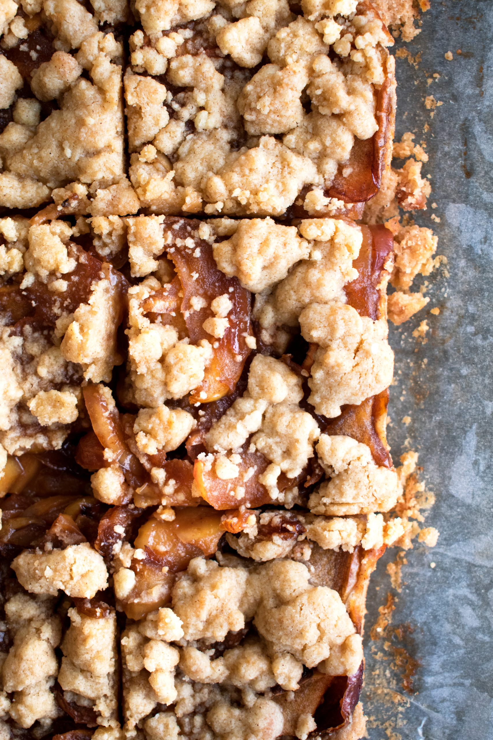 Caramelized Cinnamon Apple Crumb Bars